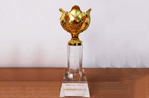 尊龙凯时人生就是博集团荣获中国金紫荆奖之“最具成长性上市公司”。